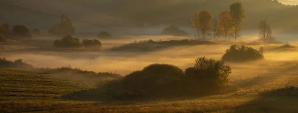 Malebný Pohled Mlhavé Svítání Nad Podzimní Louky — Stock fotografie