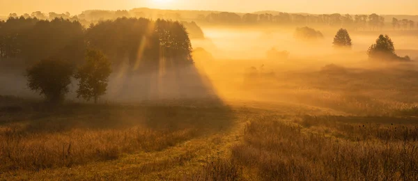 Nebliger Sonnenaufgang Über Herbstlichen Wiesen Und Feldern — Stockfoto