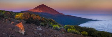Yükselen güneş, Milli Parkı Teide, Tenerife sıcak ışığıyla aydınlatılan Teide Yanardağı