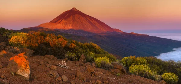 Teide Vulkan Warmen Licht Der Aufgehenden Sonne Nationalpark Teide Teneriffa — Stockfoto