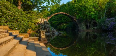 Baharda çiçek açan Kromlau, Saksonya, Almanya ormangülü parkında orman gülleri. 