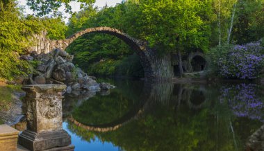 Baharda çiçek açan Kromlau, Saksonya, Almanya ormangülü parkında orman gülleri. 