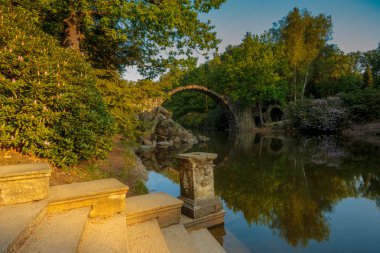 Baharda çiçek açan Kromlau, Saksonya, Almanya ormangülü parkında orman gülleri. 