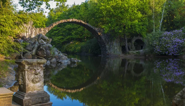 Rhododendron Blüht Frühling Rhododendronpark Kromlau Sachsen Deutschland — Stockfoto