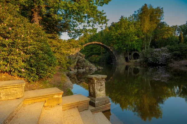 Baharda çiçek açan Kromlau, Saksonya, Almanya ormangülü parkında orman gülleri. 