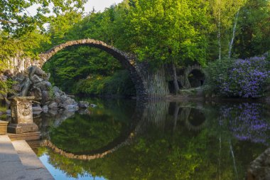 Baharda çiçek açan Kromlau ormangülü parkında orman gülleri