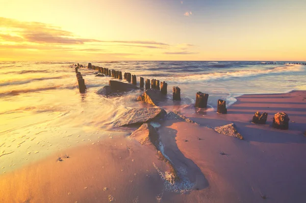 Морський Берег Дерев Яними Колодами Піску Фоні Заходу Сонця — стокове фото