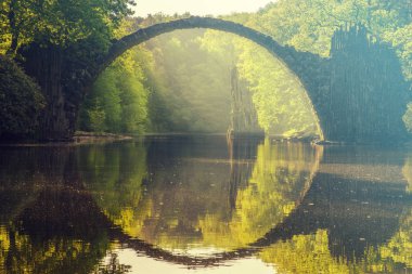 Kromlau, Almanya'da ormangülü parkta bahar