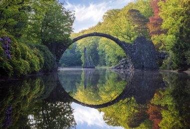 Devils Bridge içinde Kromlau, Bahar parkta Blooming orman gülleri 
