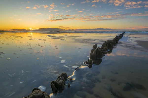 Балтійське Море Гарний Схід Сонця — стокове фото