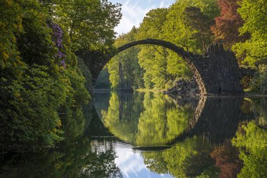 Devils Bridge içinde Kromlau, Bahar parkta Blooming orman gülleri 