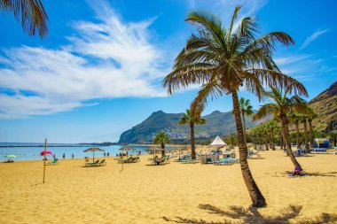 Çevre San Andres Tenerife, Kanarya Adaları, İspanya-Las Teresitas beach
