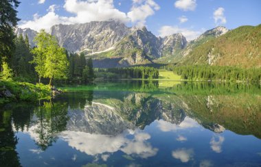 Panoramik manzaralı güzel beyaz kış harikalar diyarı sahne t