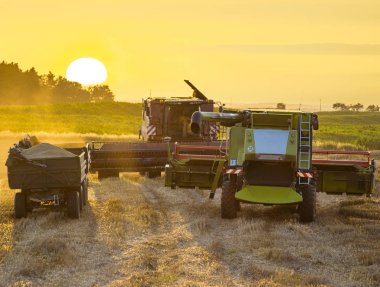 Agro sahada çalışan makine tarım   