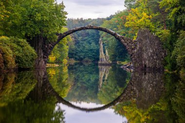 Devils Bridge içinde Kromlau, Bahar parkta Blooming orman gülleri 
