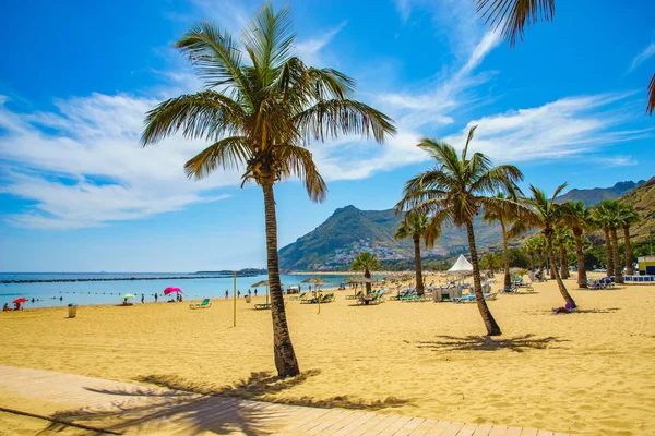 Çevre San Andres Tenerife, Kanarya Adaları, İspanya-Las Teresitas beach