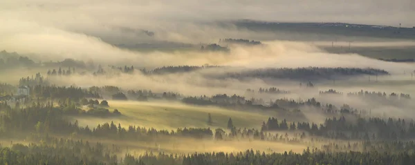 Nebel am Morgen, der sich in ein Gebirgstal in der Tatra verwandelt — Stockfoto