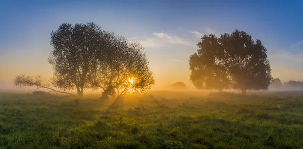 Прекрасная сказка восход солнца над туманным лугом — стоковое фото