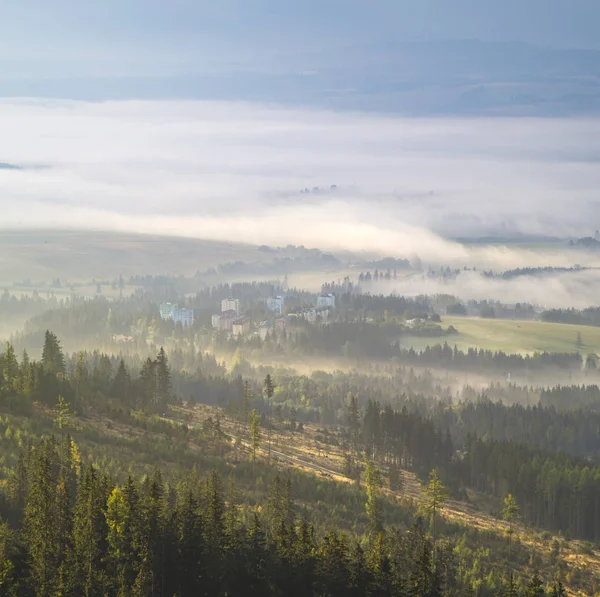 Nevoeiro pela manhã, transformando-se em um vale de montanha nos tatras — Fotografia de Stock