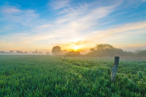 Mglisty poranek w polu w pobliżu wsi — Zdjęcie stockowe