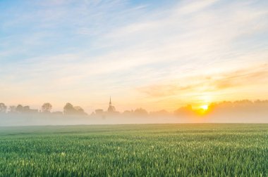 Sisli sabah köyü yakınlarında alanındaki