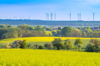 Bahar alan Almanya, Brandenburg tarım arazisi