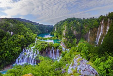 ağaçlar gündüz sırasında karşı taş          