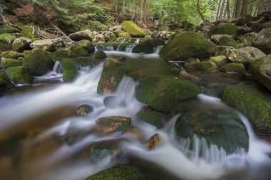 Cascades bir küçük dağ Nehri üzerinde