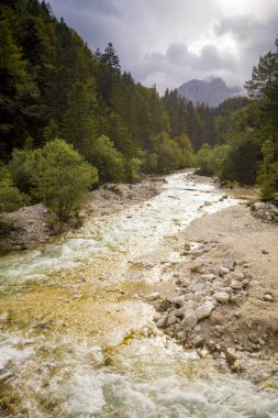 ağaçlar gündüz sırasında karşı taş        