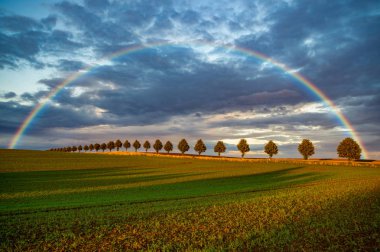manzara görünümü gökkuşağı şehir dışında ve kırsal alan 