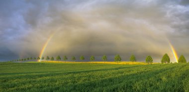 Gökkuşağı tarlanın üzerinde