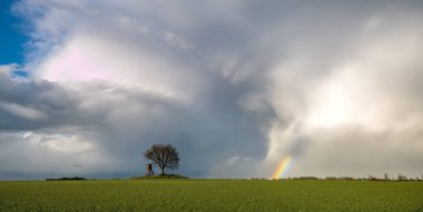Gökkuşağının üstünde yeşil, Bahar alan