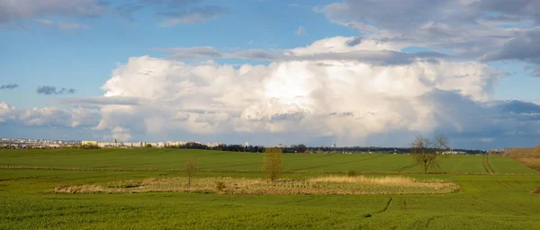 Panorama du printemps, champ vert — Photo