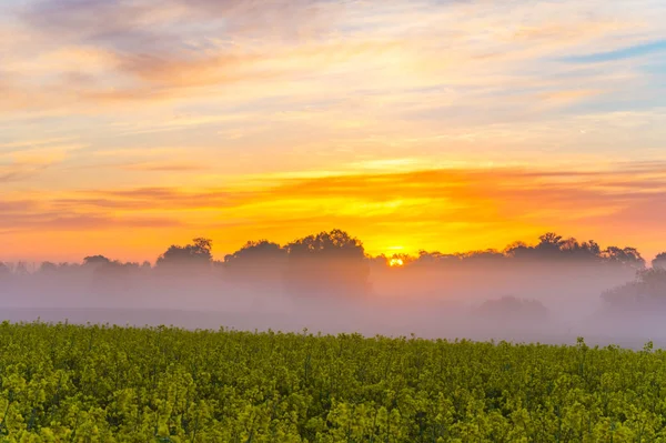 Dimmig morgon i fältet nära byn — Stockfoto