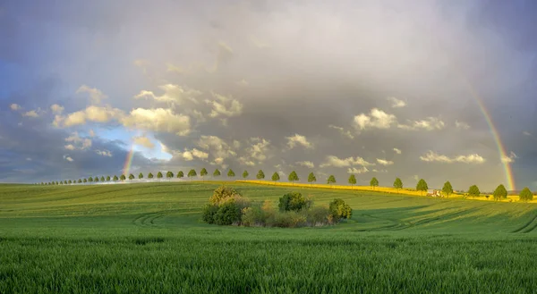 Gökkuşağının üstünde yeşil, Bahar alan — Stok fotoğraf