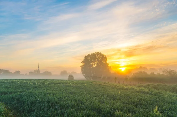 Mistige ochtend in het veld in de buurt van het dorp — Stockfoto