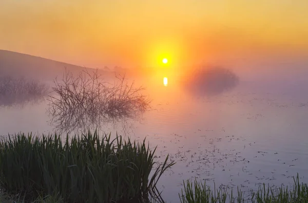 Туманный Сказочный Восход Солнца Над Озером — стоковое фото