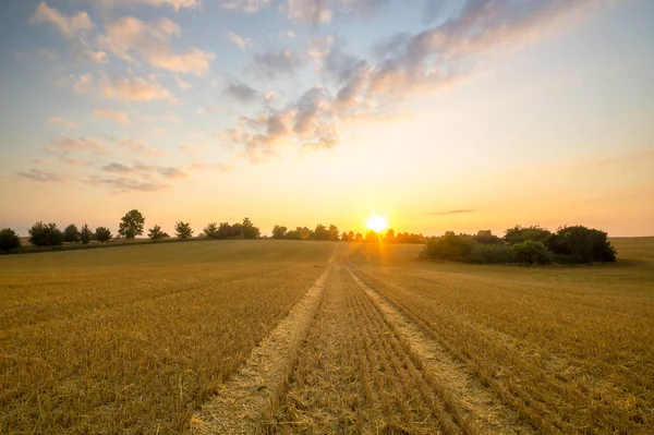 Vista Paisagem Campo Rural Durante Pôr Sol Fora Cidade — Fotografia de Stock