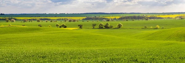 Панорама весняно-польових в Німеччині, сільськогосподарських земель в місті Bran — стокове фото