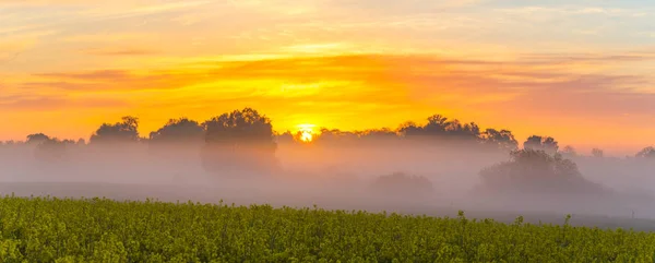 Nebliger Morgen auf dem Feld in der Nähe des Dorfes, Panorama — Stockfoto