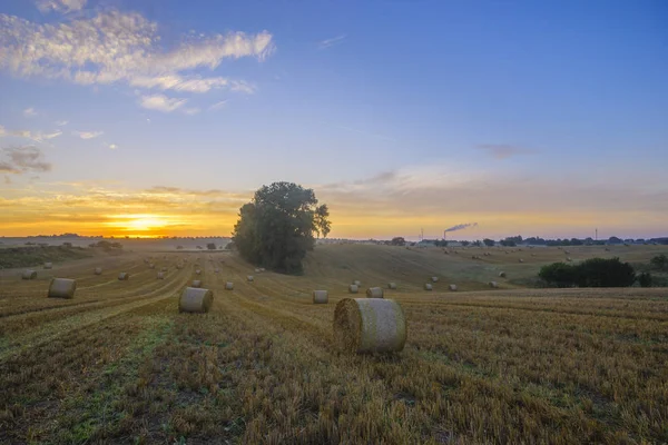 Vista Paisagem Campo Rural Fardos Feno Fora Cidade — Fotografia de Stock