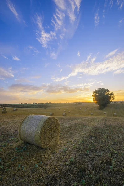 Vista Del Paesaggio Del Campo Rurale Fuori Città — Foto Stock