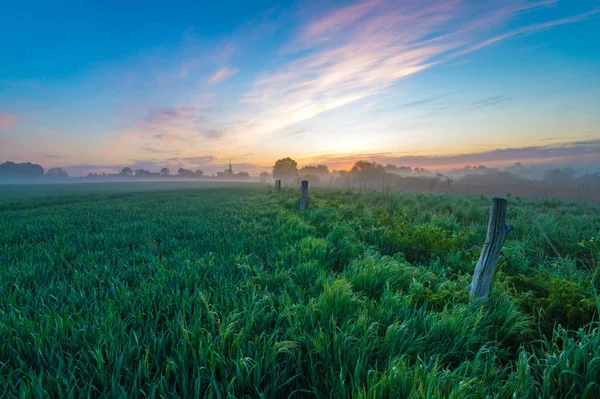 Dimmig morgon i fältet nära byn — Stockfoto