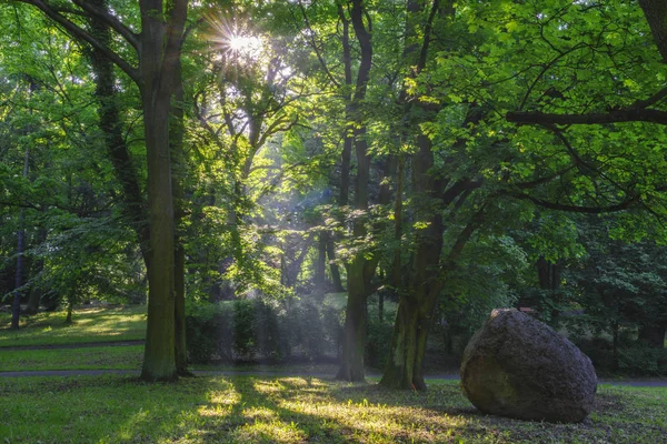 Panorama del parco primaverile in una mattina soleggiata e soleggiata — Foto Stock