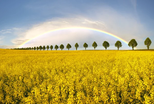 Paisagem de campo, verão de terras agrícolas — Fotografia de Stock