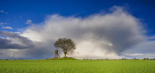 Rainbow over green, spring field — Stock Photo, Image