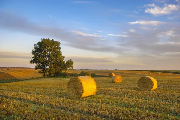 Vista Paisagem Campo Rural Com Fardos Feno Fora Cidade — Fotografia de Stock