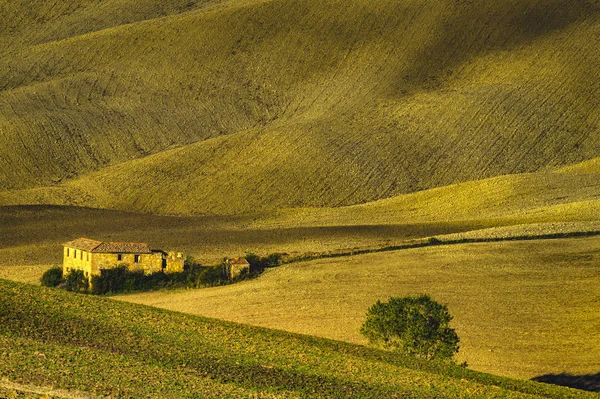 Landscape View Rural Field City — Stock Photo, Image