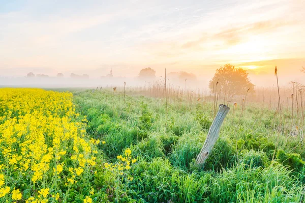 Nebliger Morgen auf dem Feld in der Nähe des Dorfes — Stockfoto