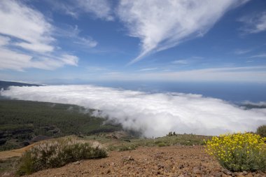 Teide Milli Parkı'nda, Tenerife görünümü noktadan görüntülemek
